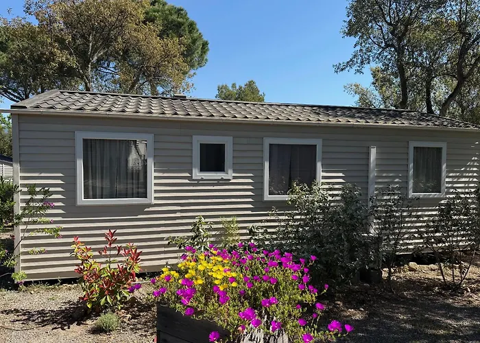 Camping De Parpaillon Roquebrune-sur-Argens