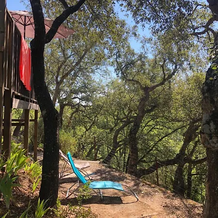 Camping De Parpaillon Campsite